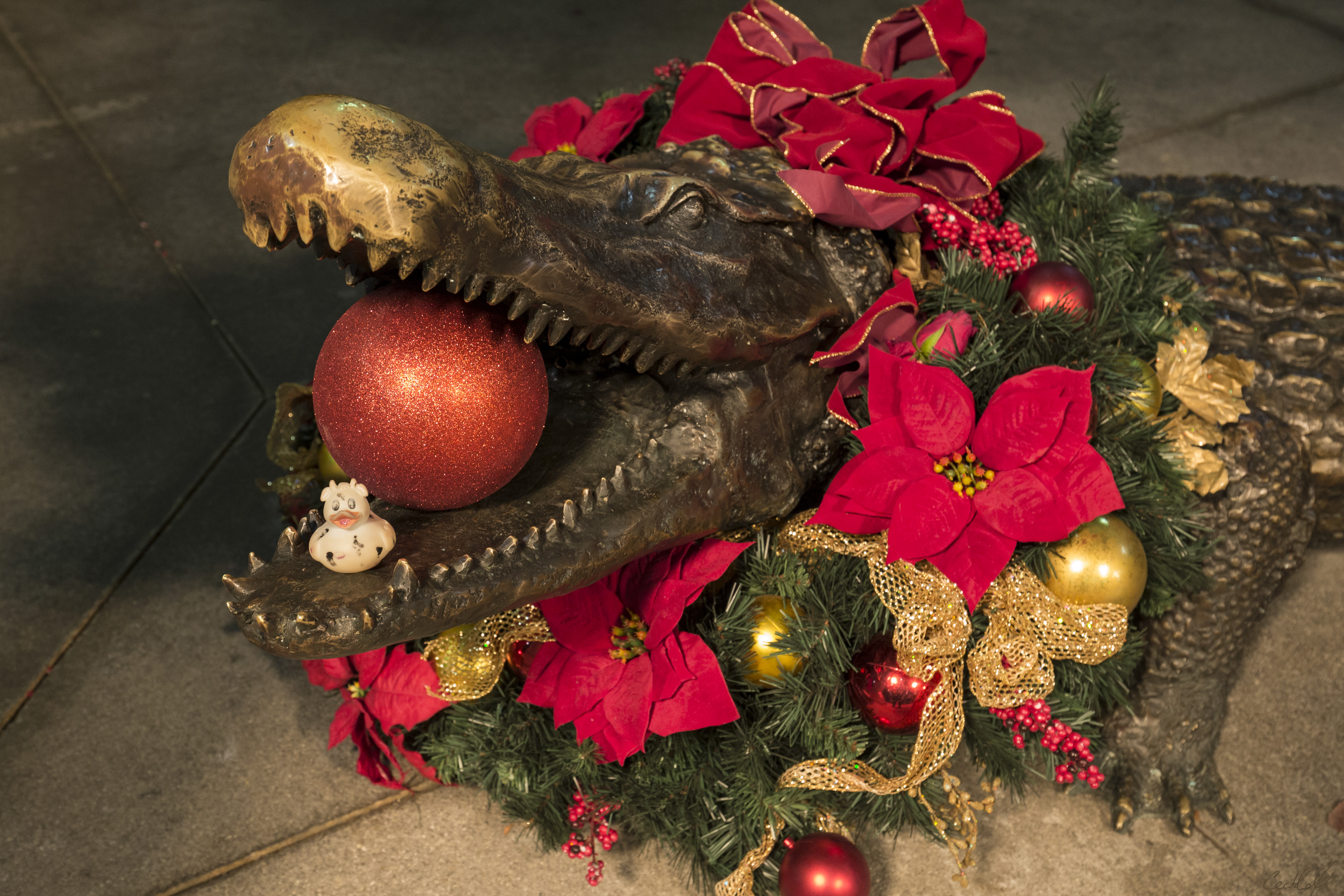 A photo of Bella the duck sat in the jaws of a bronze crocodile outside the Jefferson Hotel in Richmond Virginia