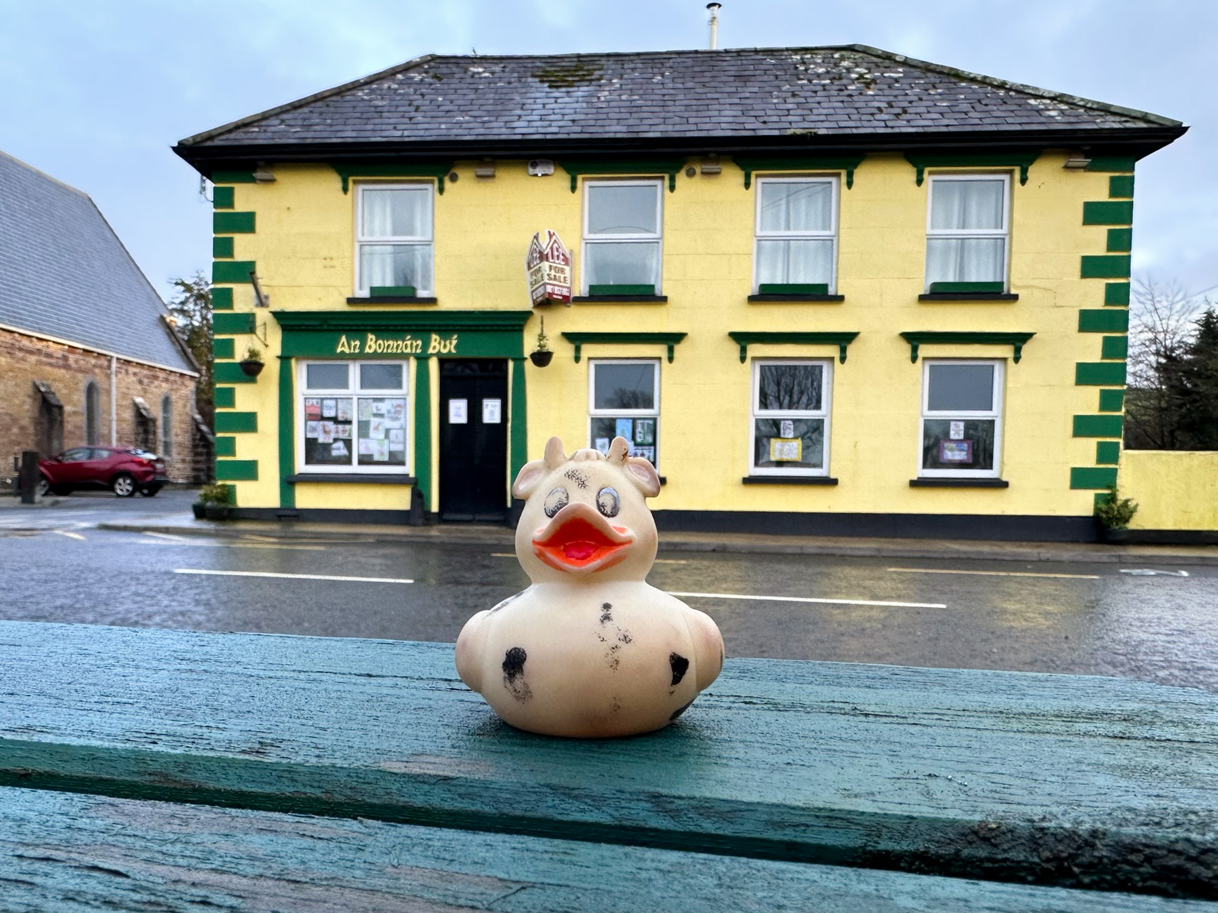 A photo of Bella outside An Bonnan Bui, Ballinahinch, Co. Tipp, Ireland.