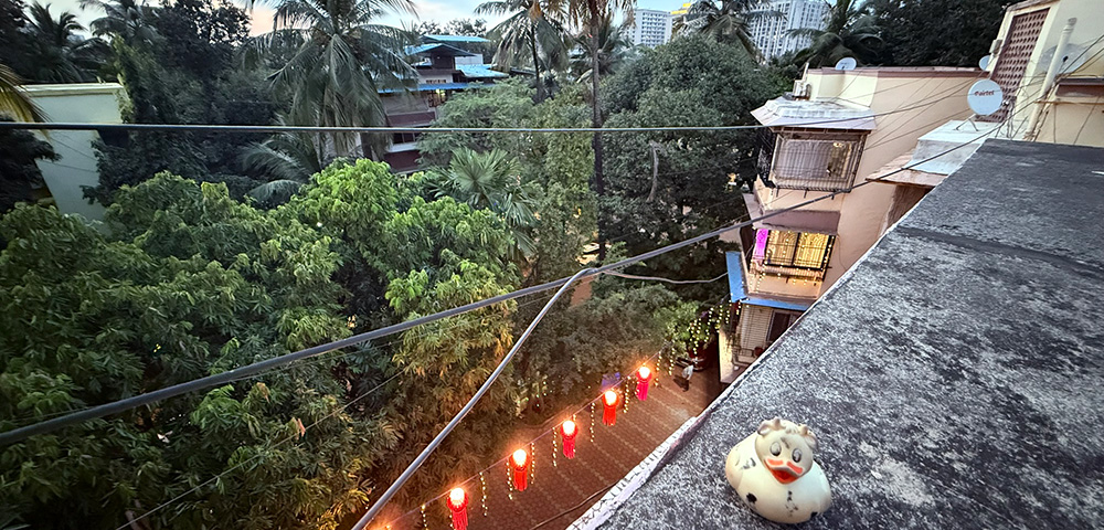 A photo of Bella celebrating Diwali in Mumbai, India.