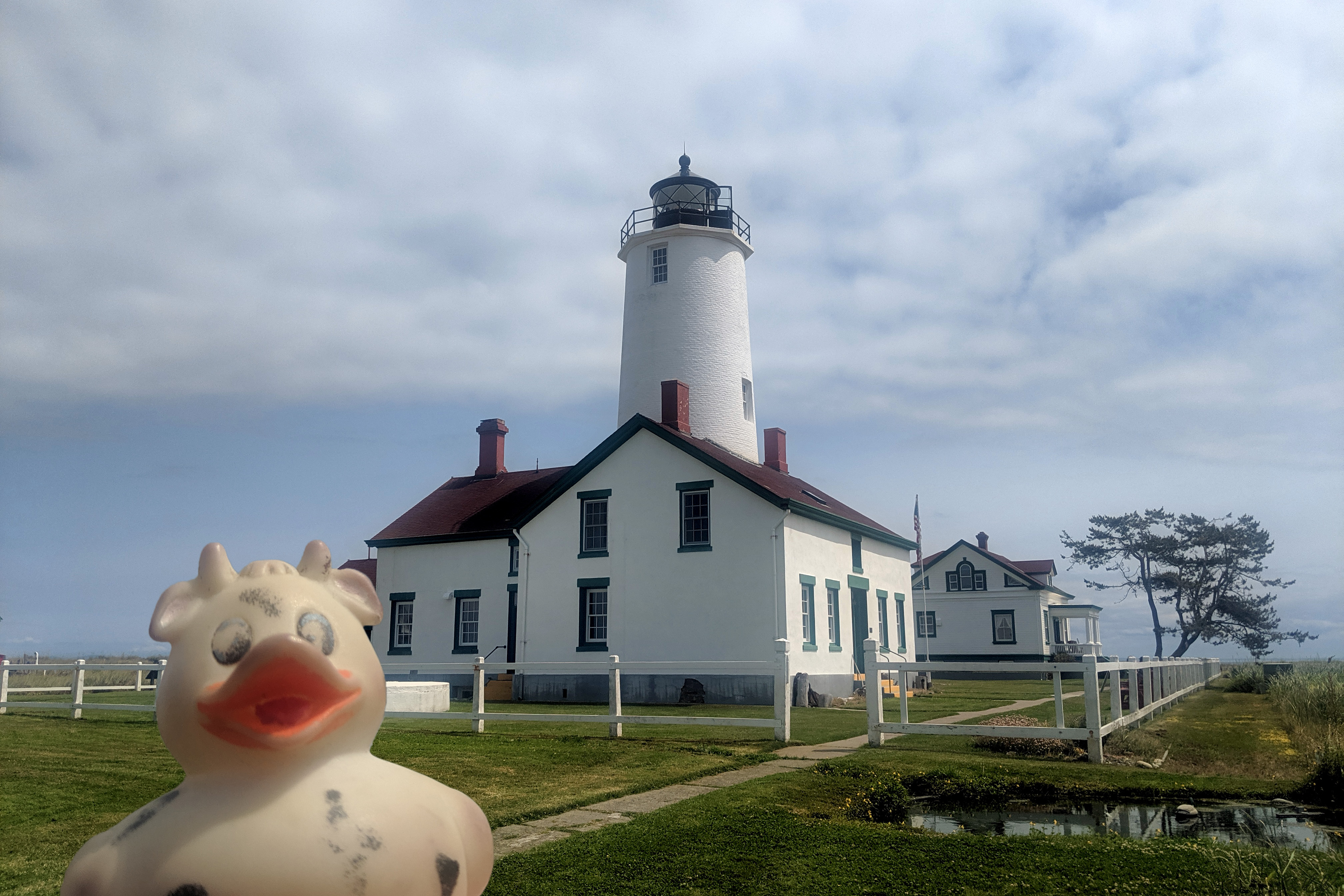 A photo of Bella the rubber duck in front of the Dungeness Spit Lighthouse, Washington State.