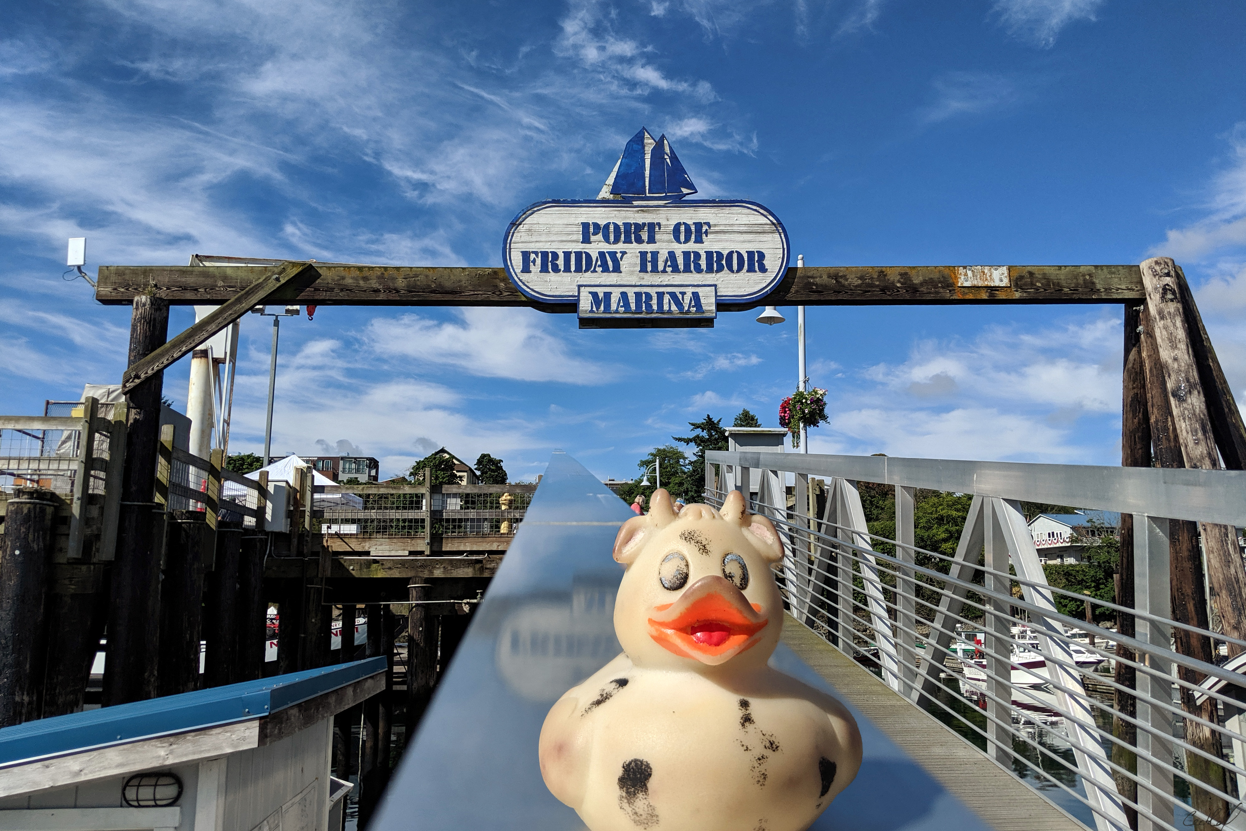 A photo of Bella the rubber duck sitting on a floating dock ramp at the Friday Harbour Marina, Washington State.