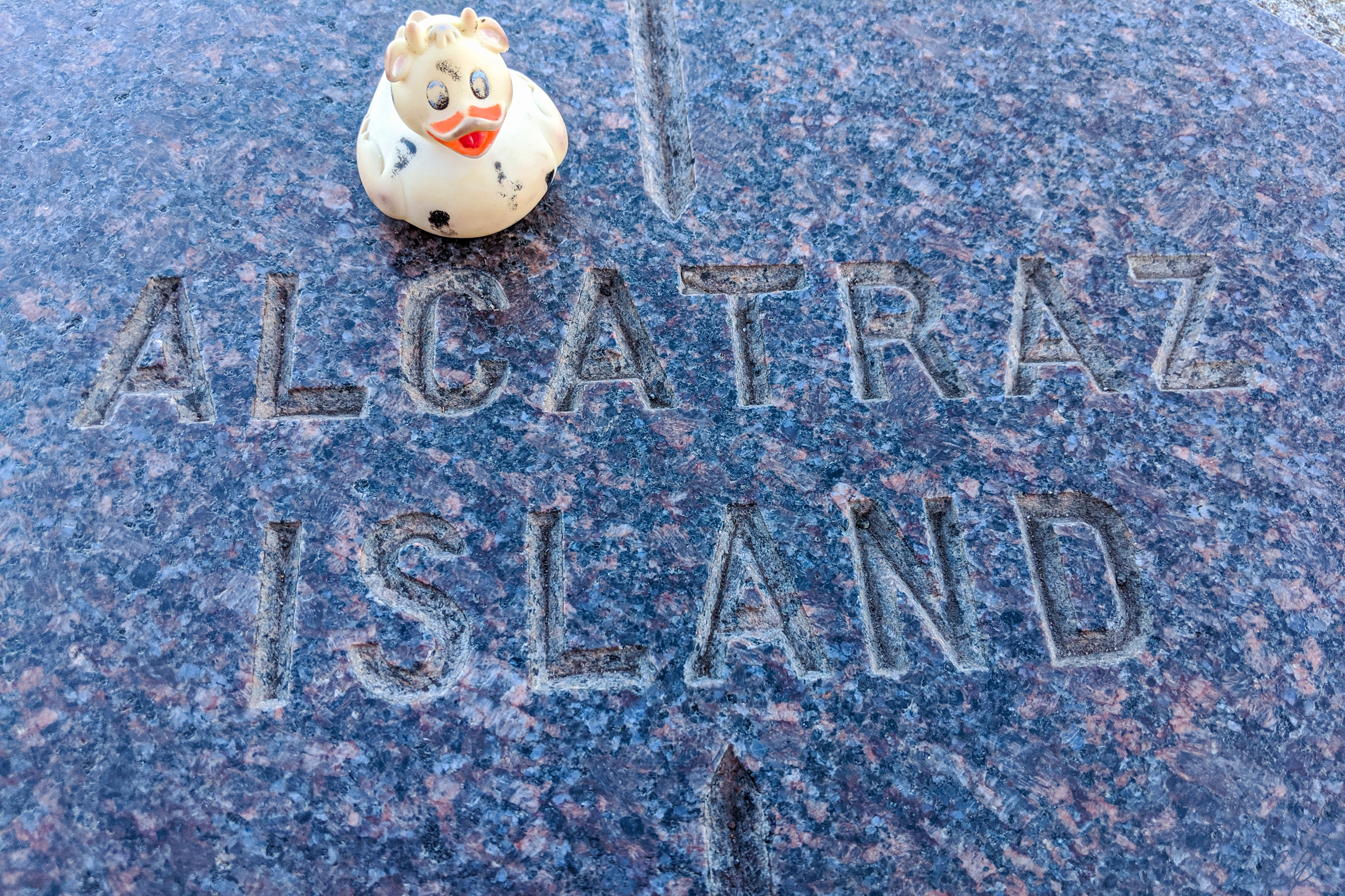 A photo of Bella the rubber duck at Golden Gate Park, San Fran, on a sign pointing at Alcatraz.