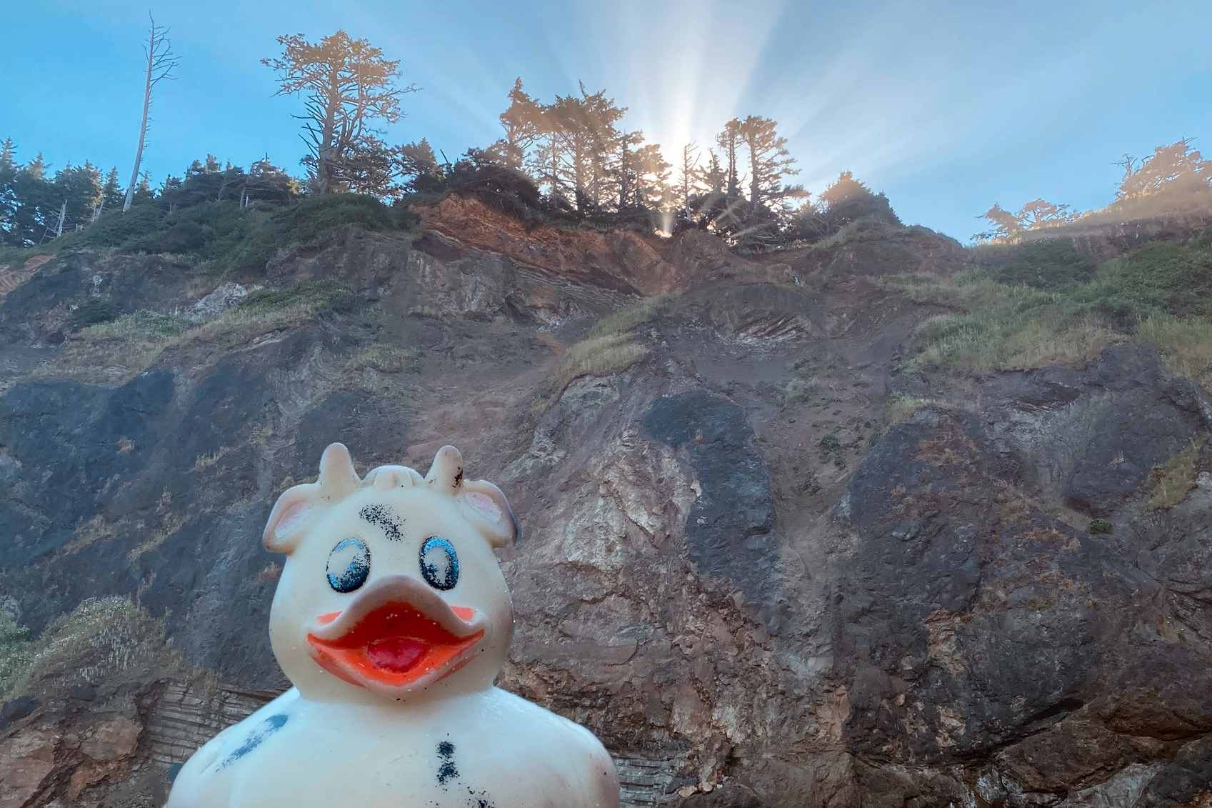 A photo of Bella the rubber duck in front of a cliff face at Indian Beach, Oregon.