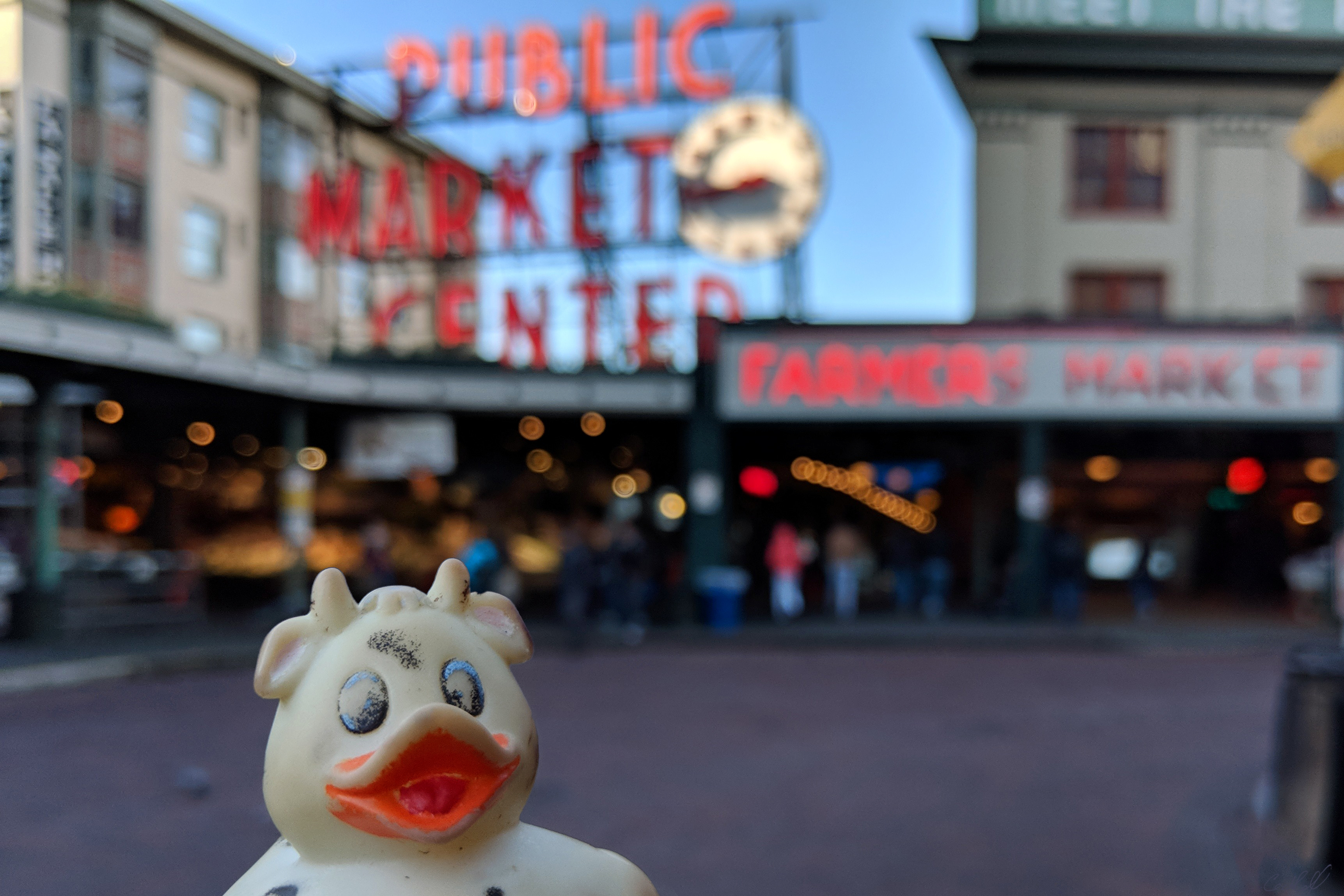 A photo of Bella outside Pike Place in Seattle, Washington