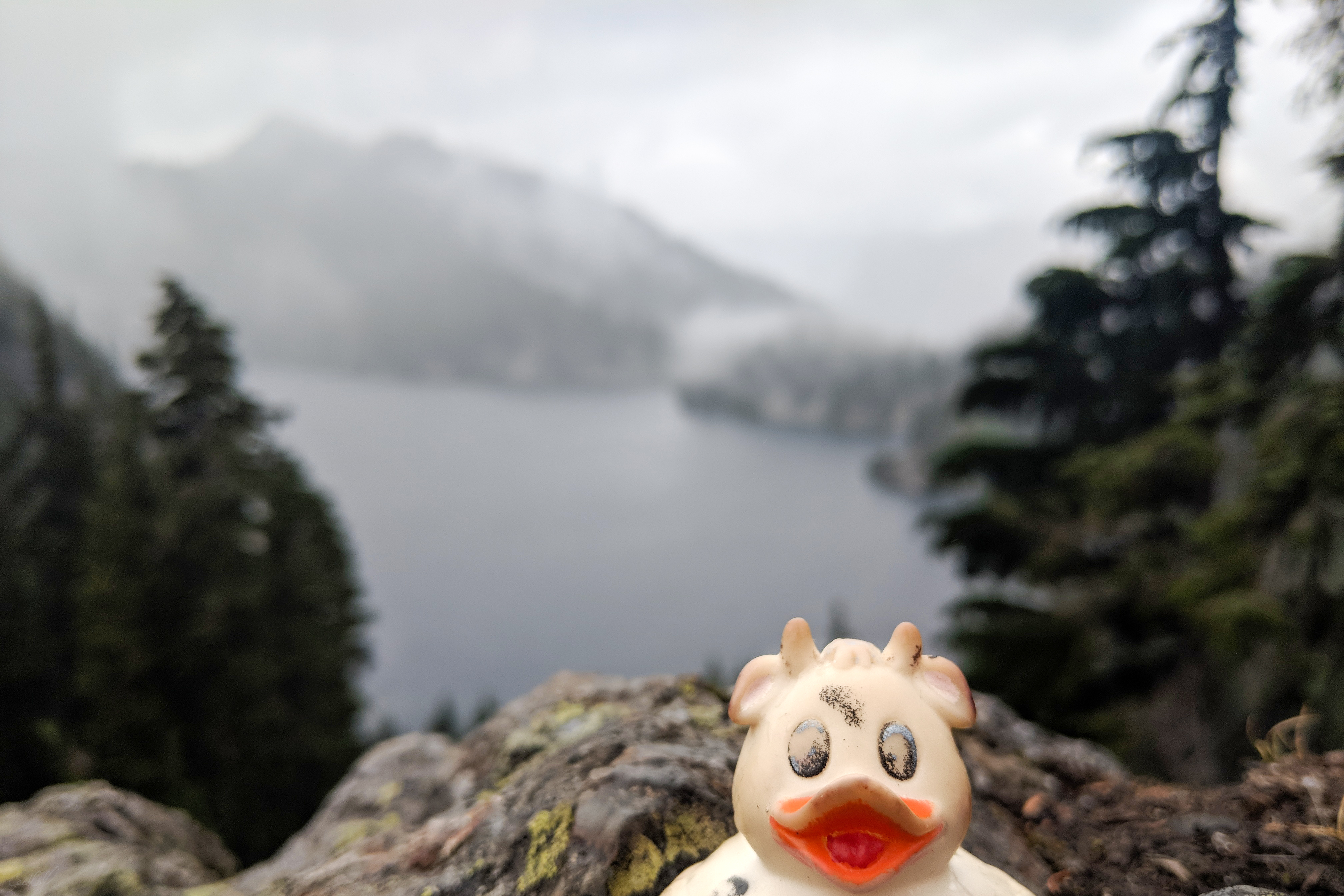 A photo of Bella the rubber duck overlooking Snow Lake in North Bend, Washington