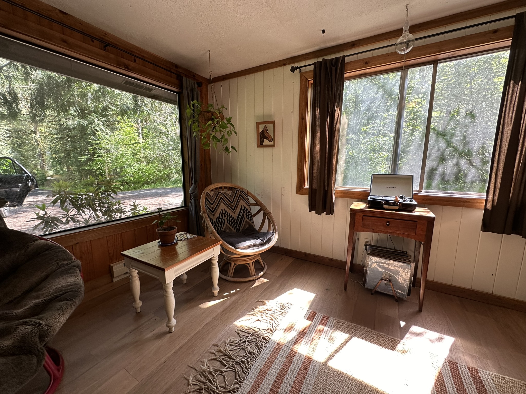 A photo of Bella chilling on the turntable in a cabin on Oregon.