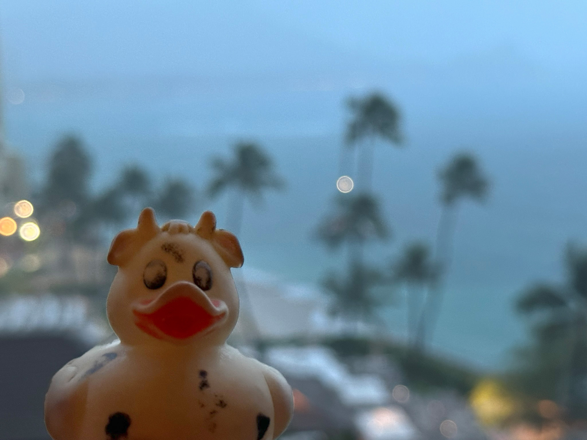 A photo of Bella overlooking Waikiki during a rainstorm.