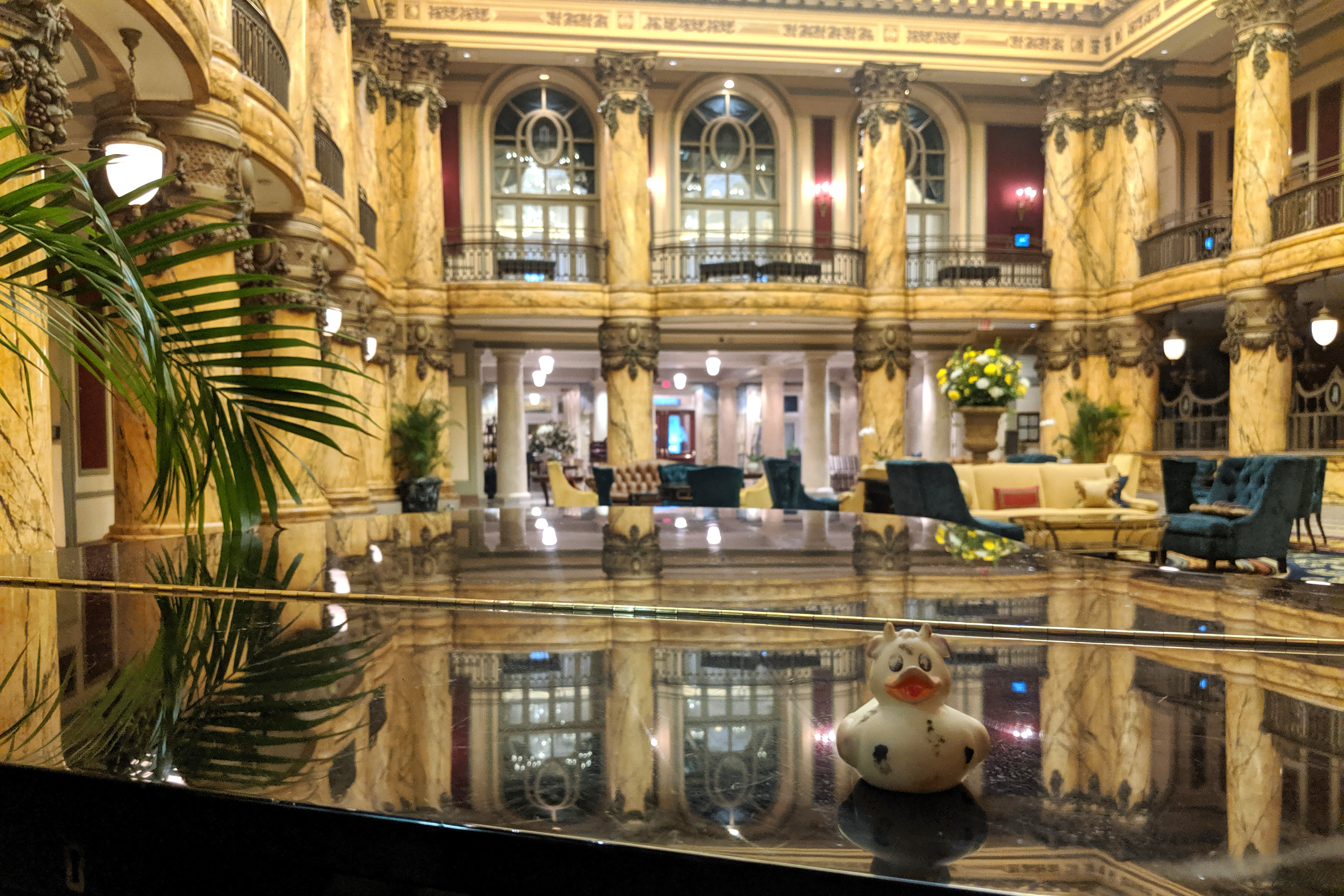 A photo of Bella the rubber duck on a piano reflecting a large ornate ballroom behind her, Richmond, Virginia.