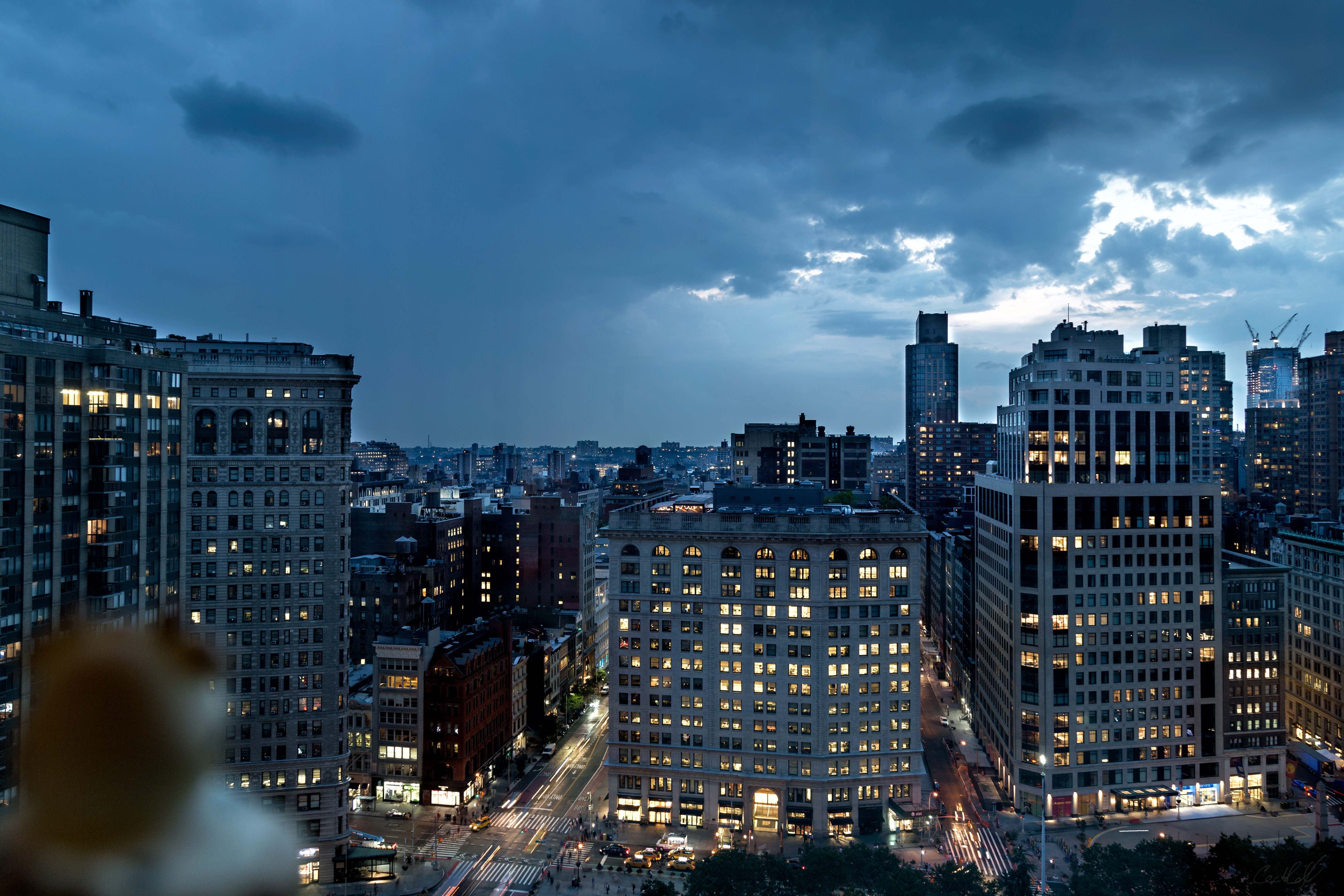 A photo of Bella the duck overlooking the Flatiron Building and Madison Square Park