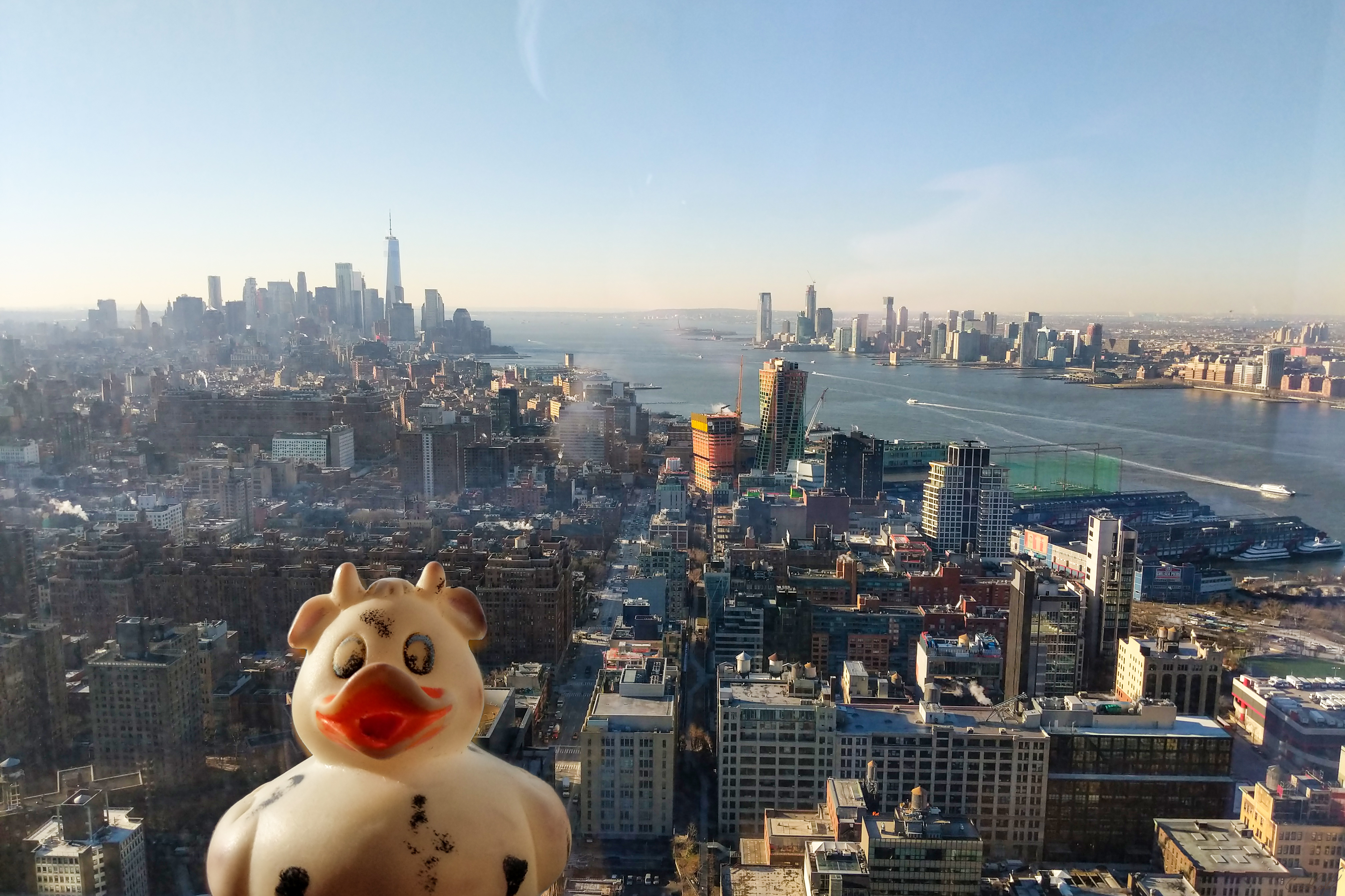 A photo of Bella the rubber duck above the New York City, looking down Manhattan and the Hudson river. 