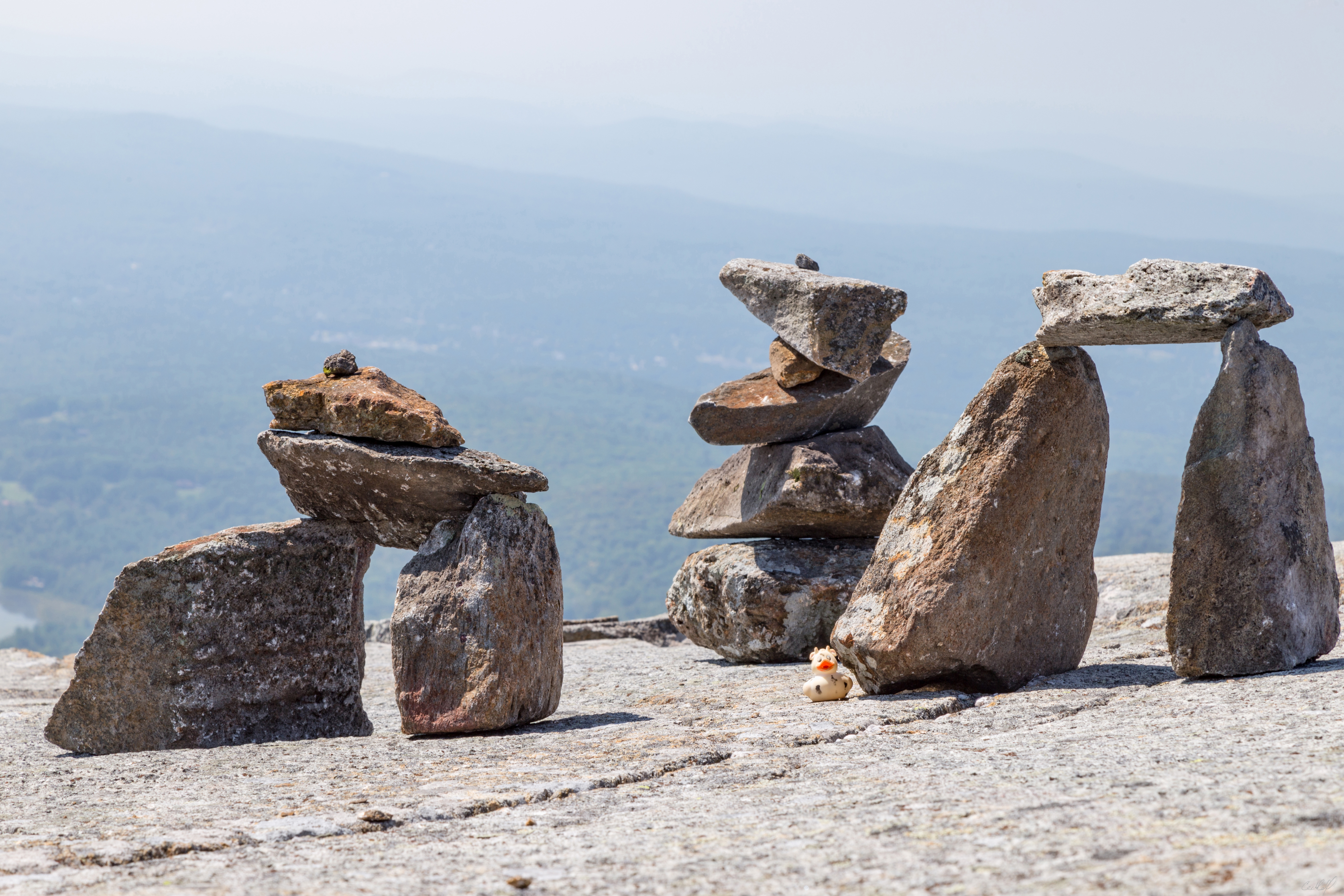 Bella the duck amidst the cairns at Mount Monadnock. New Hampshire, USA