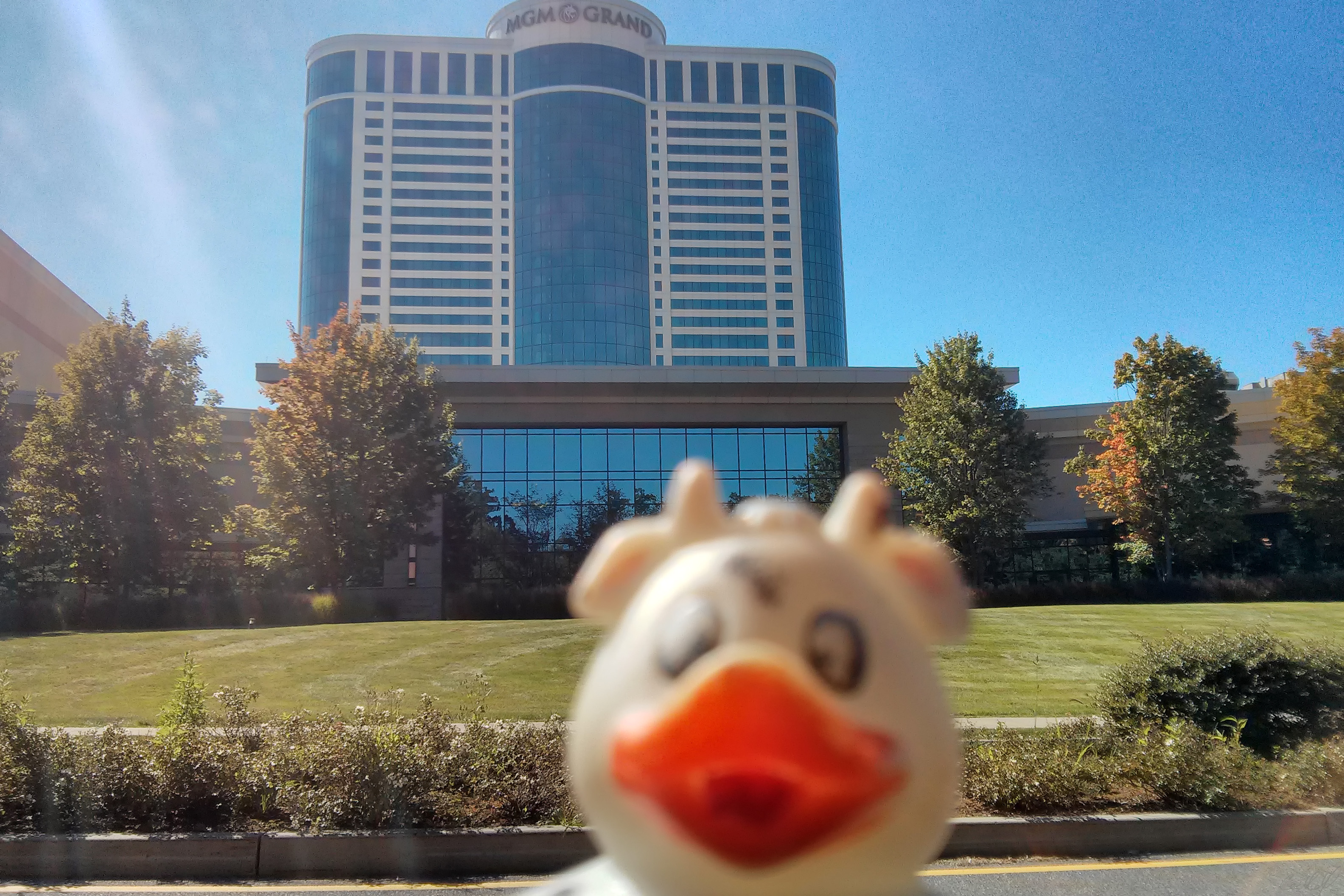 A photo of Bella the duck at Foxwoods. Connecticut, USA