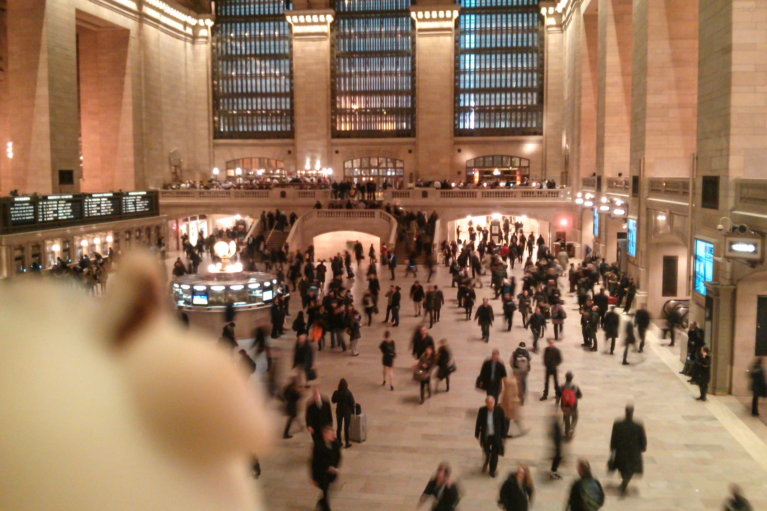 A photo of Bella the duck at Grand Central Terminal, New York City