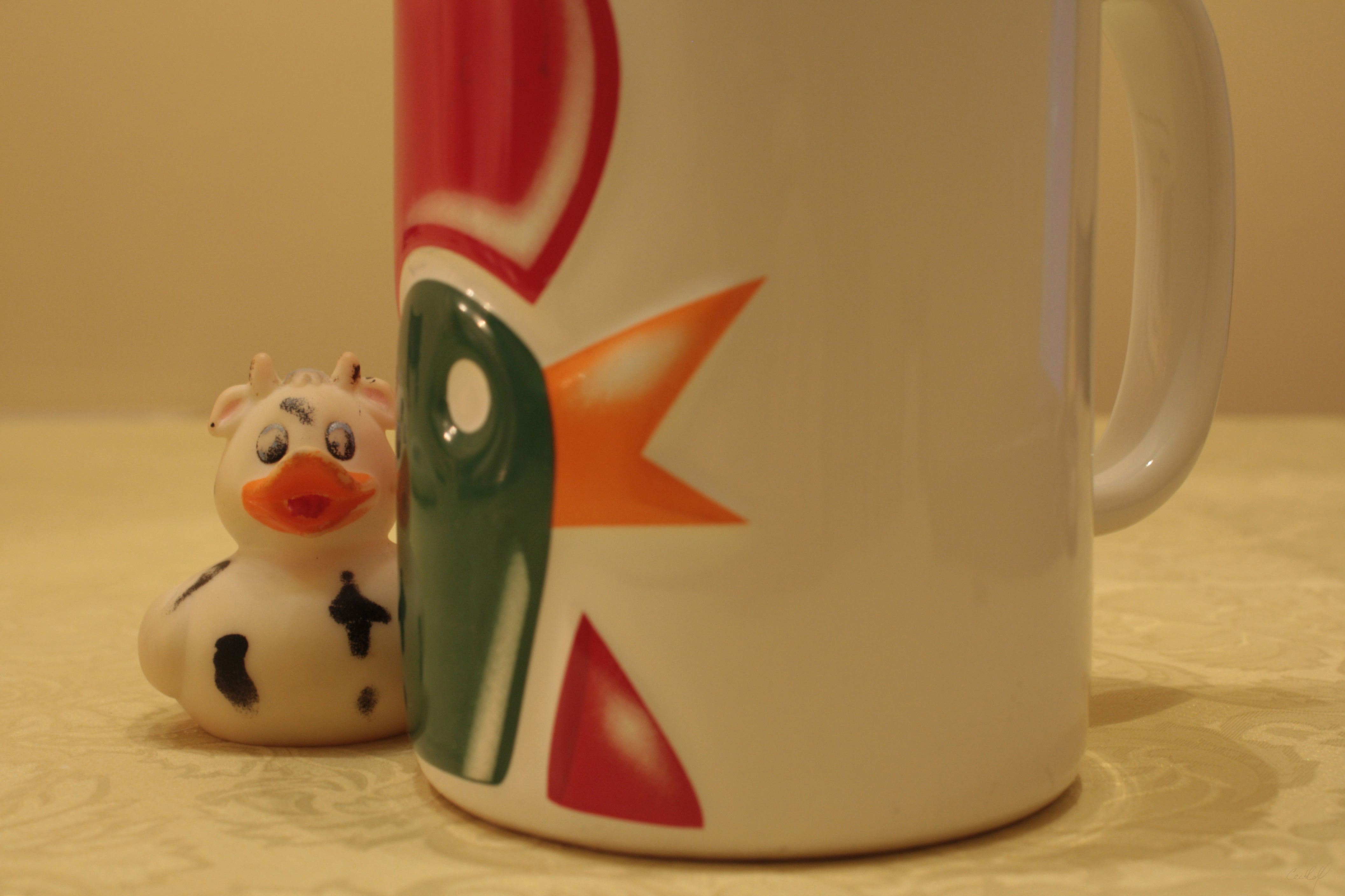 A photo of Bella the duck beside a cup. Nenagh, Ireland