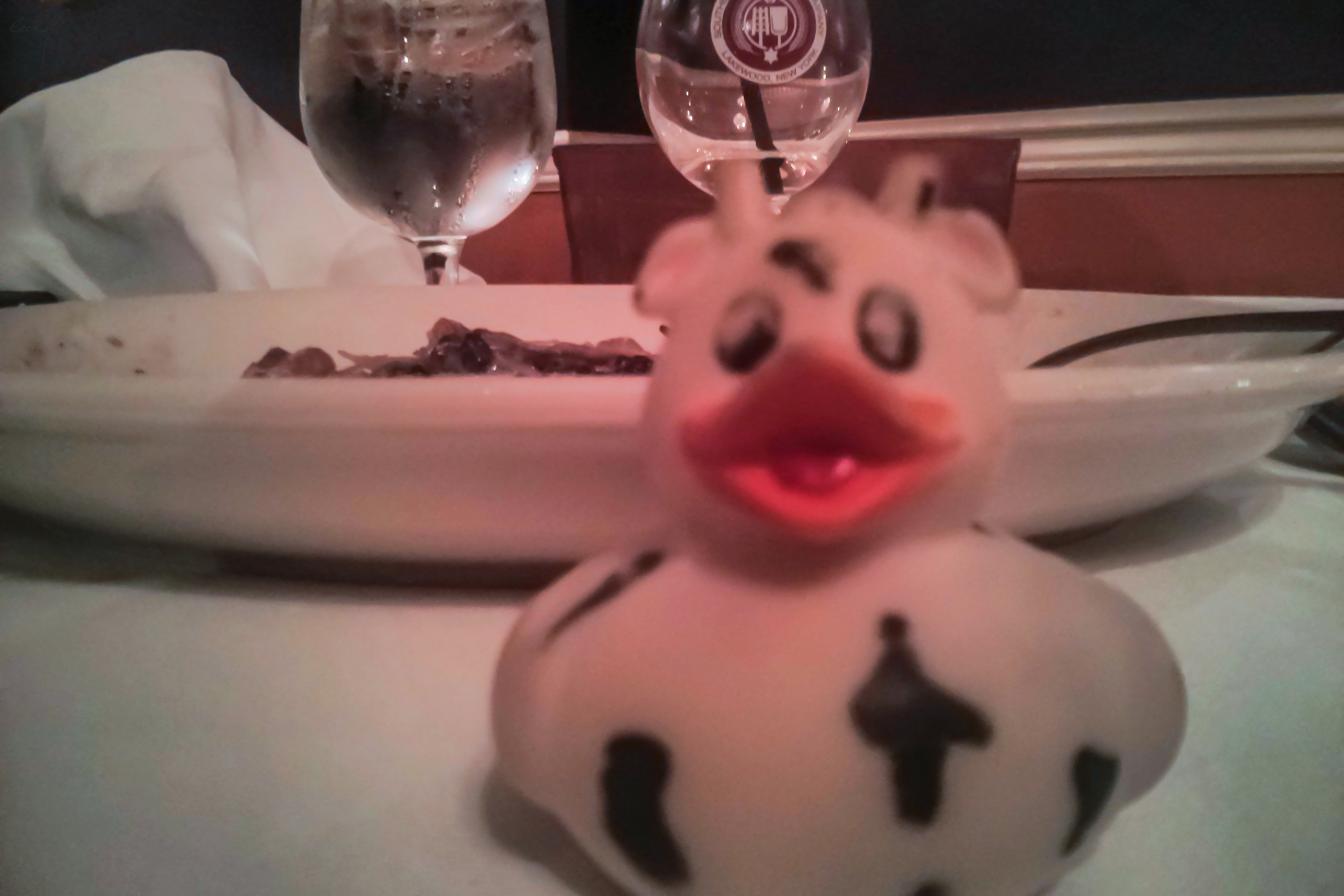 A photo of Bella the duck at Nana's. Durham, North Carolina, USA