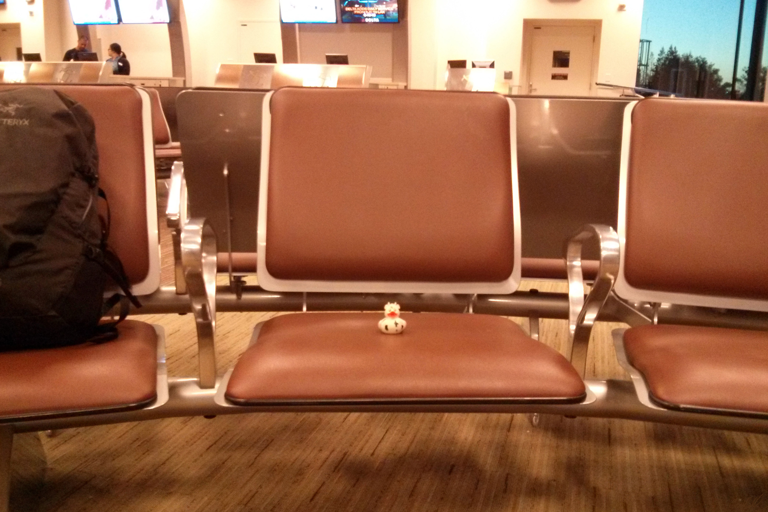 A photo of Bella the duck at San Jose International Airport. California, USA