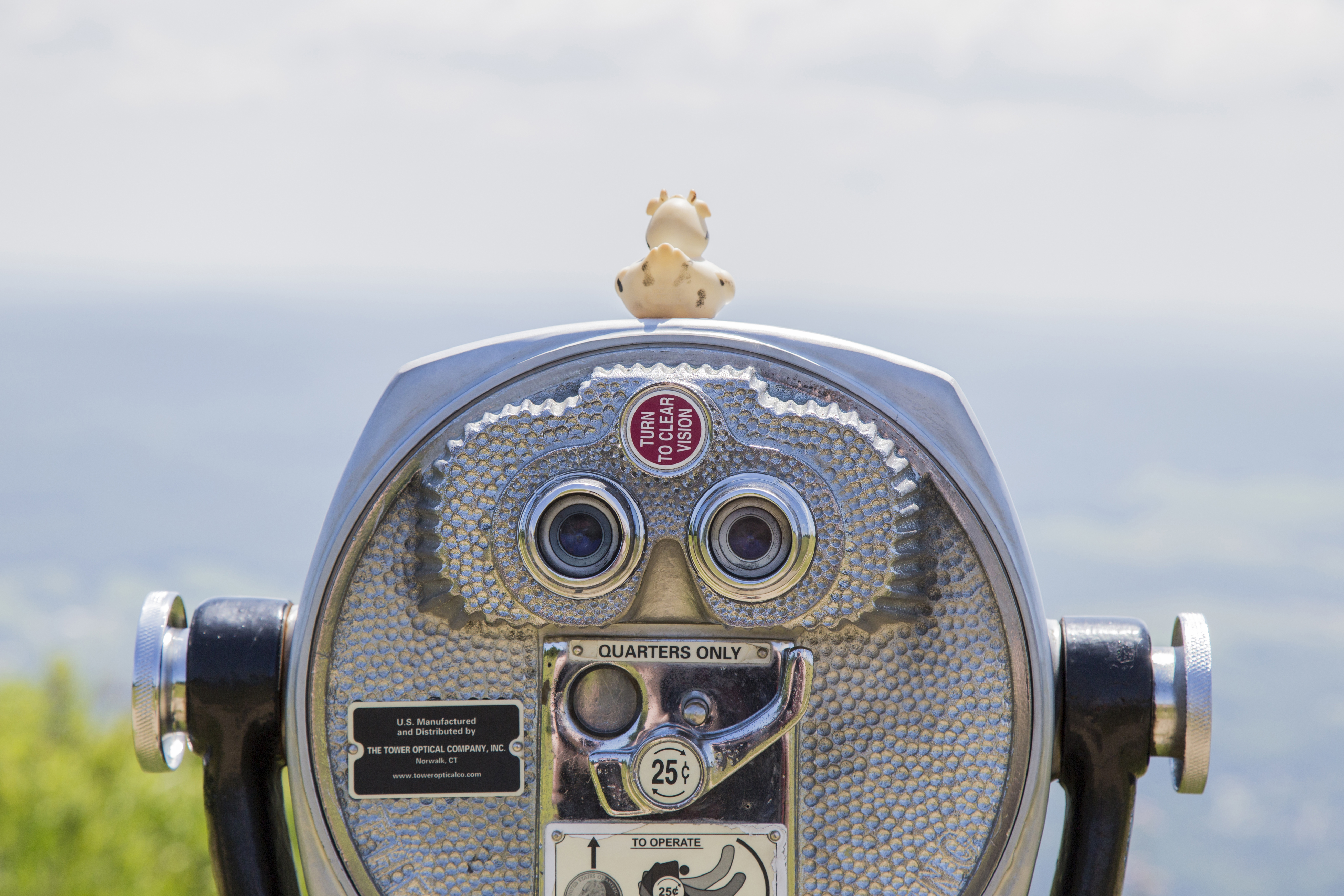 Bella the duck enjoying the view from the summit of Mount Greylock in Massachusetts